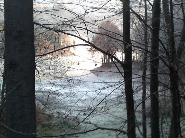 Cazare in Baia Mare - PENSIUNEA CAPRIOARA - Baia Mare