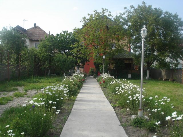 Cazare in Baia Mare - PENSIUNEA DARIA - Săsar