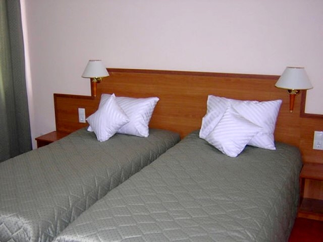 Cazare in Baia Mare - HOTEL RIVULUS - Baia Mare